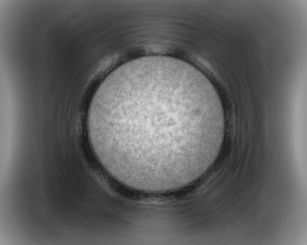 X0000083560738200703091616