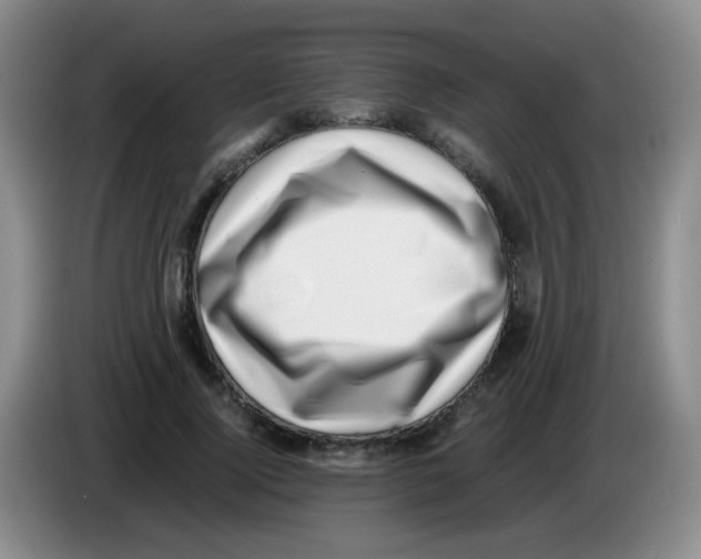 X0000083560740200703091616