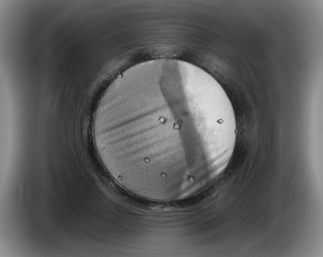 X0000083560742200703091616