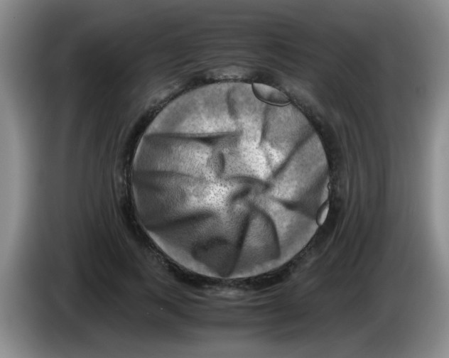 X0000083560743200703091616