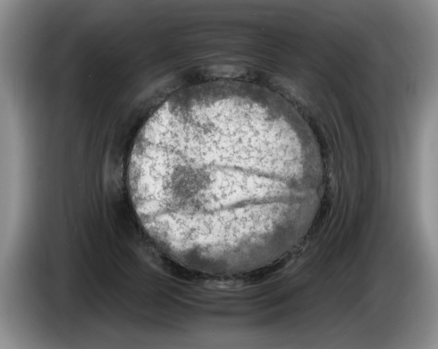 X0000083560745200703091616