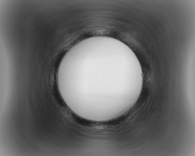 X0000083560746200703091616