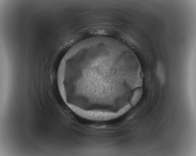 X0000083560747200703091616