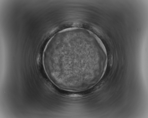 X0000083560748200703091616