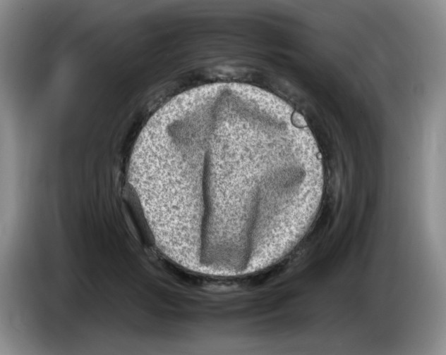 X0000083560749200703091616