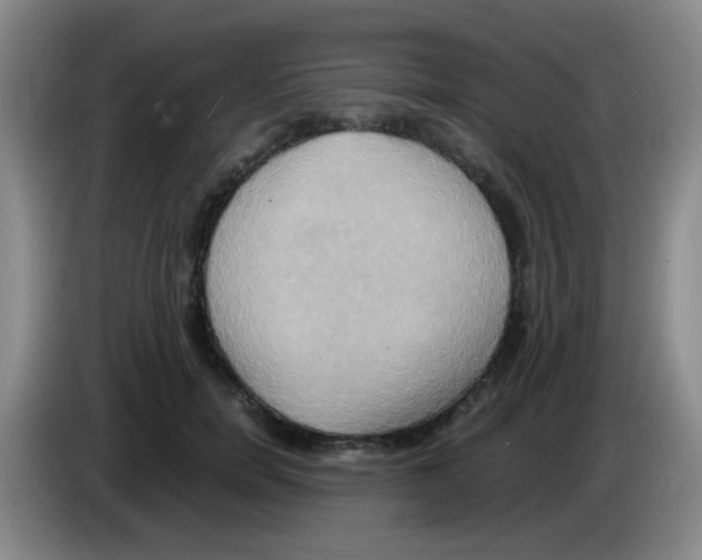 X0000083560750200703091616