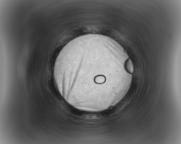 X0000083560751200703091616