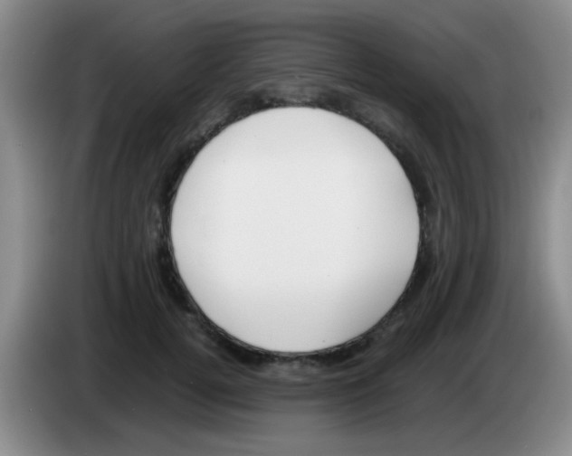 X0000083560752200703091616