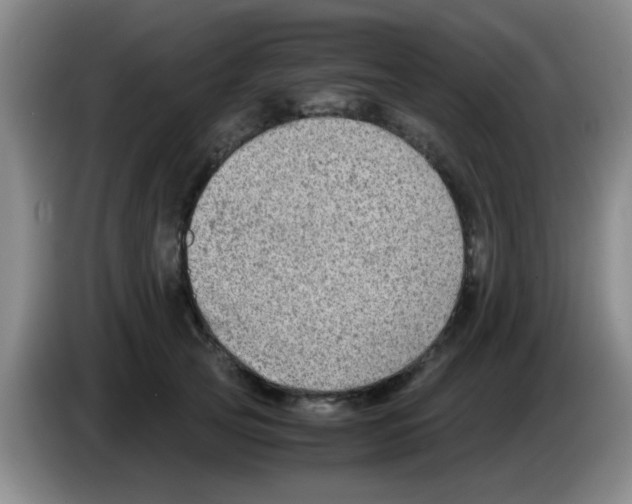 X0000083560753200703091616