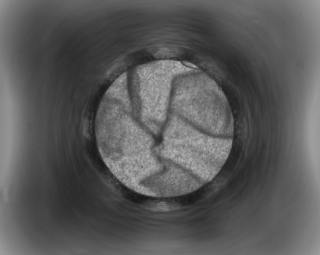 X0000083560755200703091616