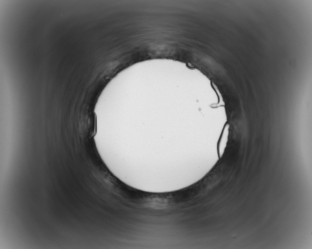 X0000083560756200703091616