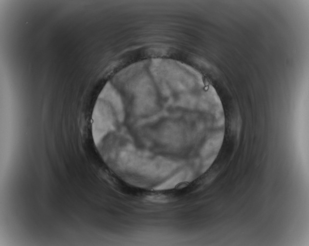 X0000083560759200703091616