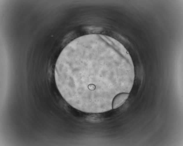 X0000083560761200703091616