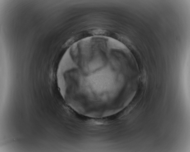 X0000083560763200703091616