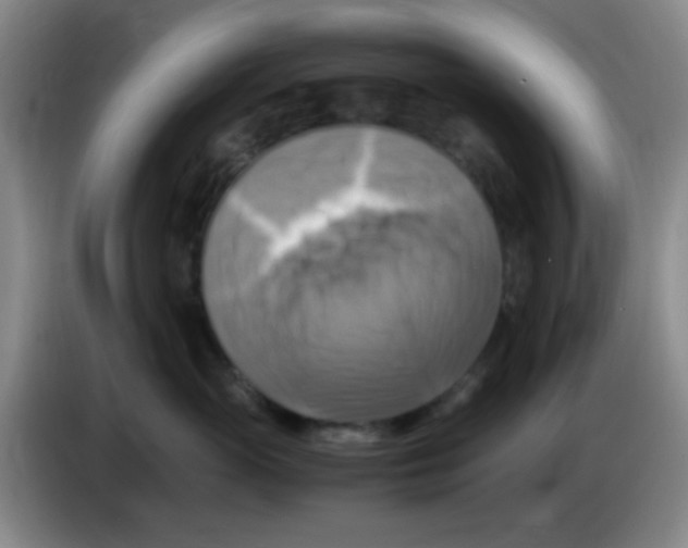 X0000083560765200703091616