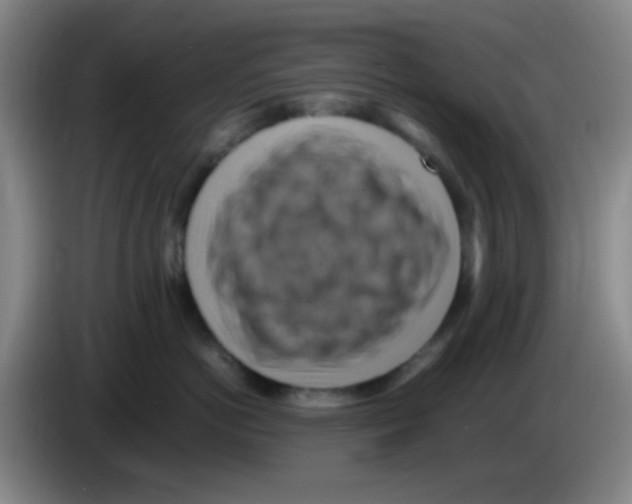 X0000083560766200703091616