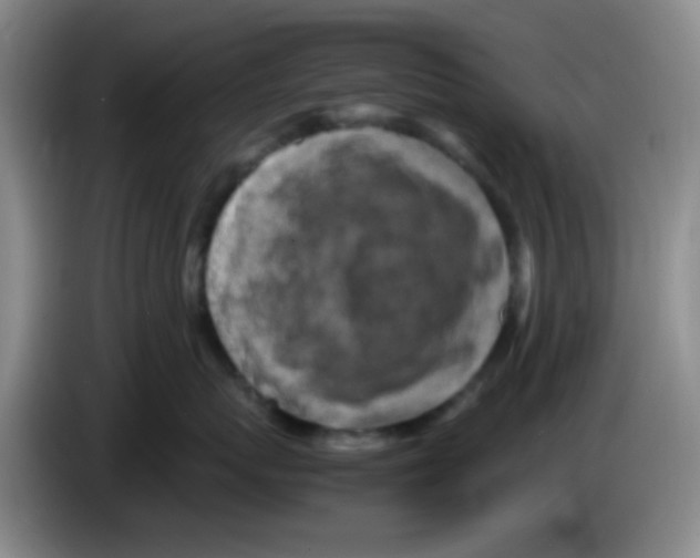 X0000083560767200703091616