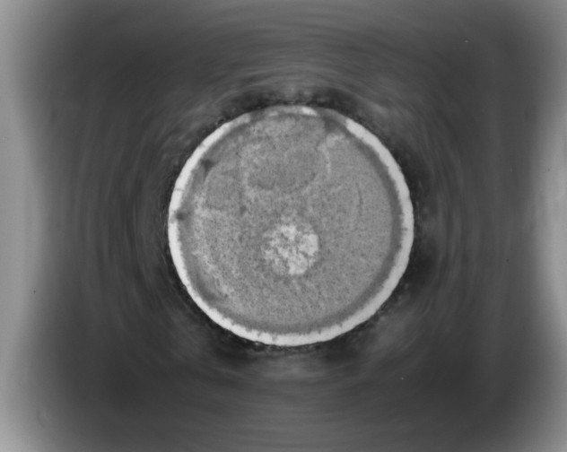 X0000083560769200703091615