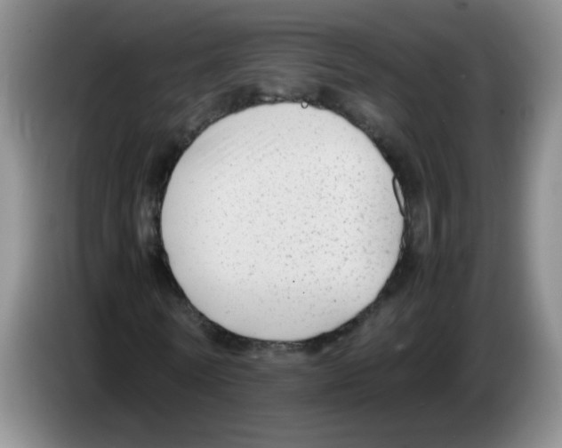 X0000083560770200703091615