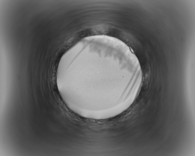 X0000083560772200703091615