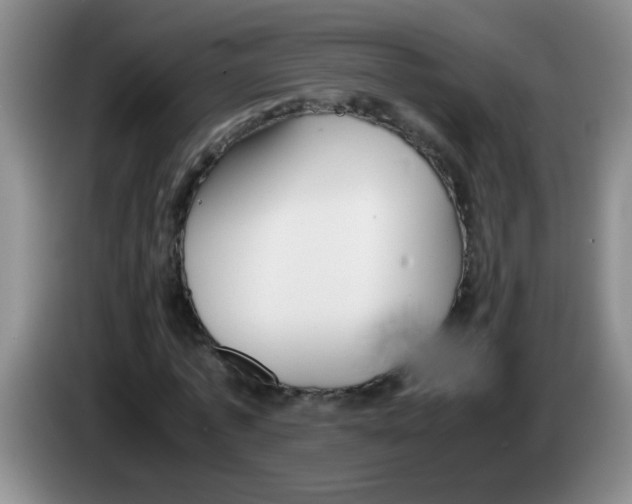 X0000083560773200703091615