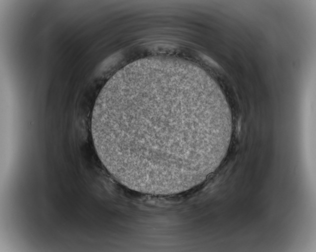 X0000083560774200703091615