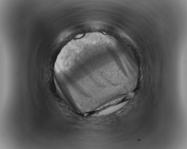 X0000083560776200703091615