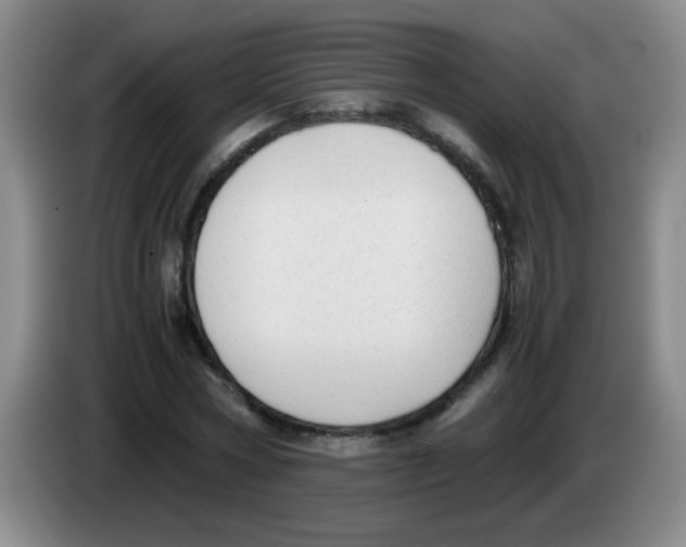 X0000083560778200703091615