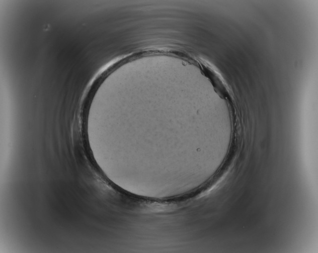 X0000083560779200703091615