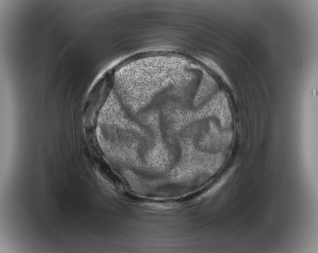 X0000083560781200703091615