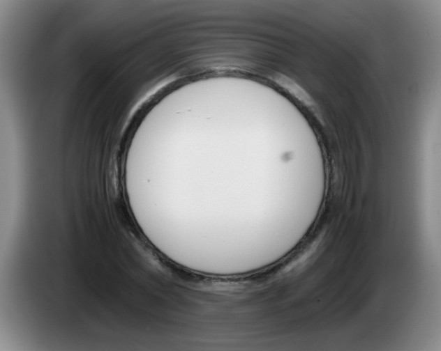 X0000083560782200703091615