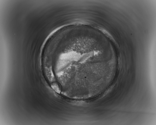 X0000083560784200703091615