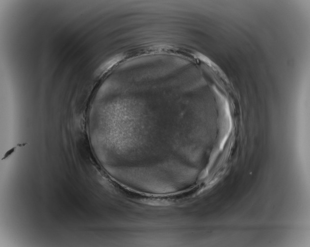 X0000083560785200703091615