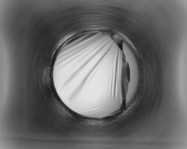 X0000083560786200703091615