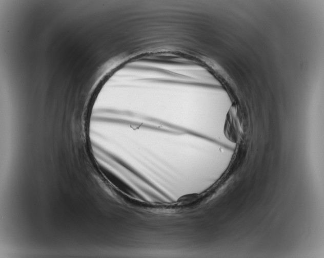 X0000083560789200703091615