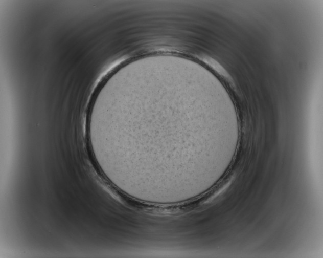 X0000083560790200703091615