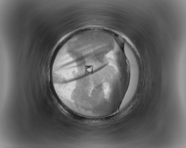 X0000083560791200703091615