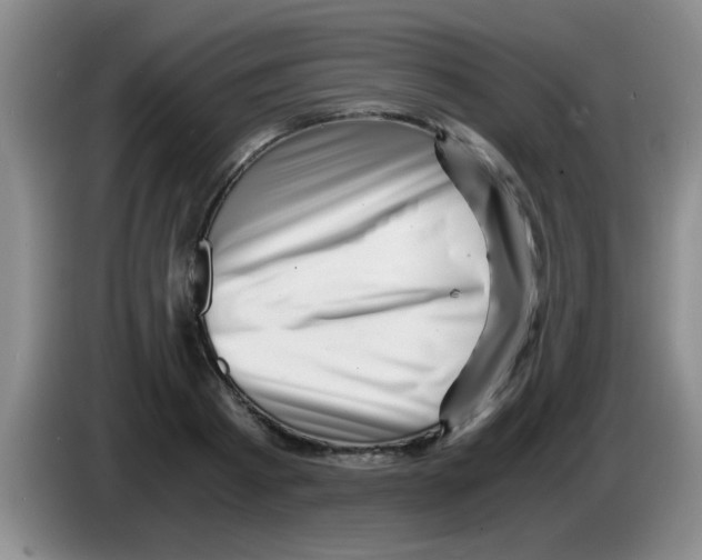 X0000083560793200703091615