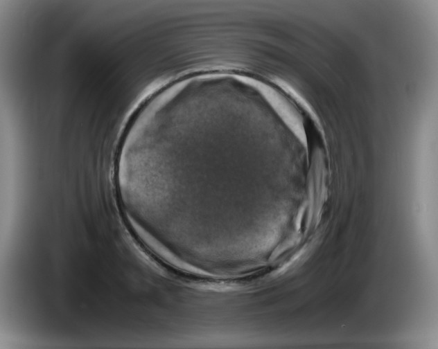 X0000083560797200703091615