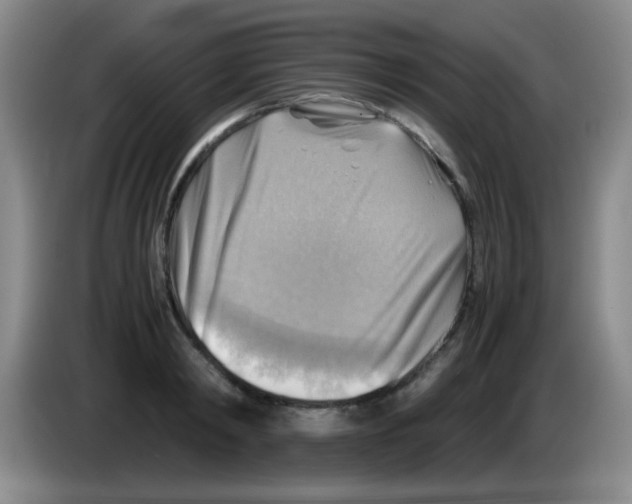 X0000083560798200703091615