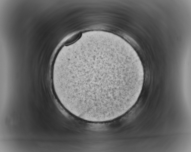 X0000083560800200703091615