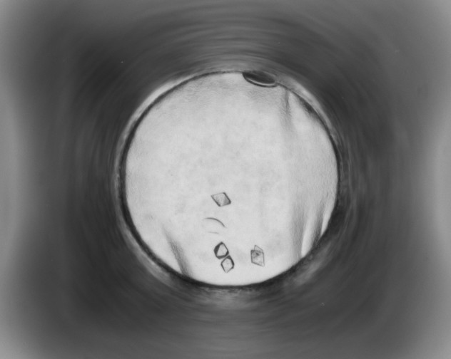 X0000083560803200703091615