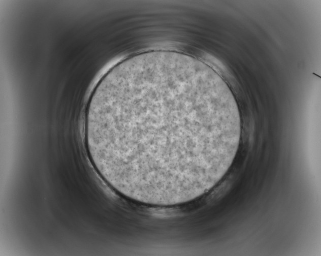 X0000083560804200703091615