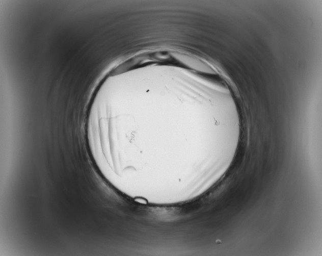 X0000083560805200703091615