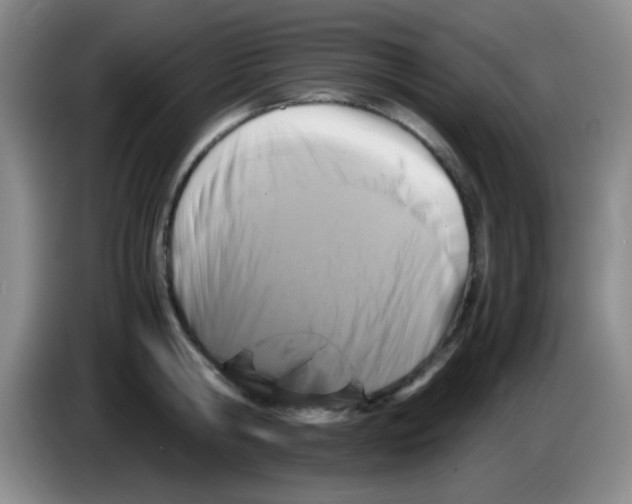 X0000083560806200703091615