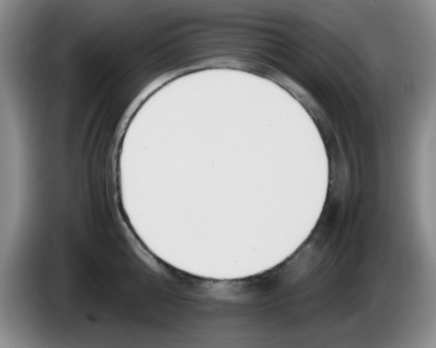 X0000083560808200703091615