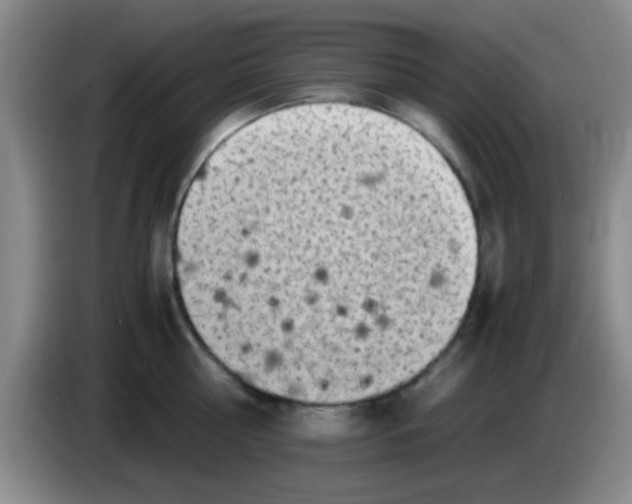 X0000083560810200703091615