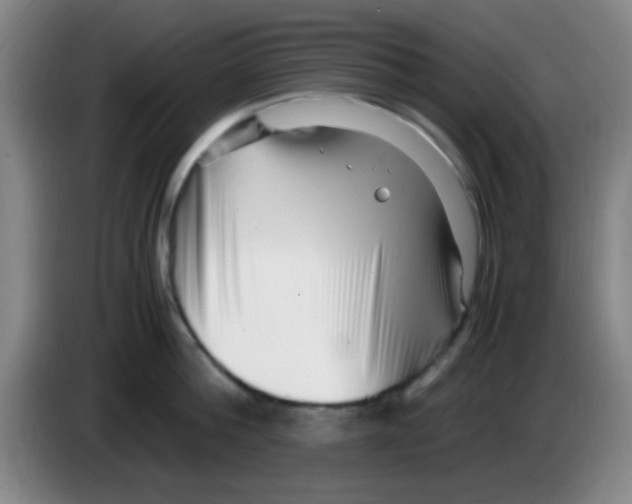 X0000083560812200703091615