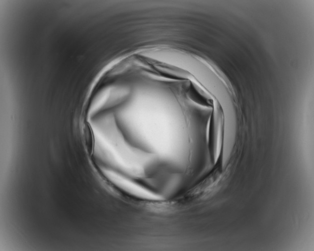 X0000083560813200703091615