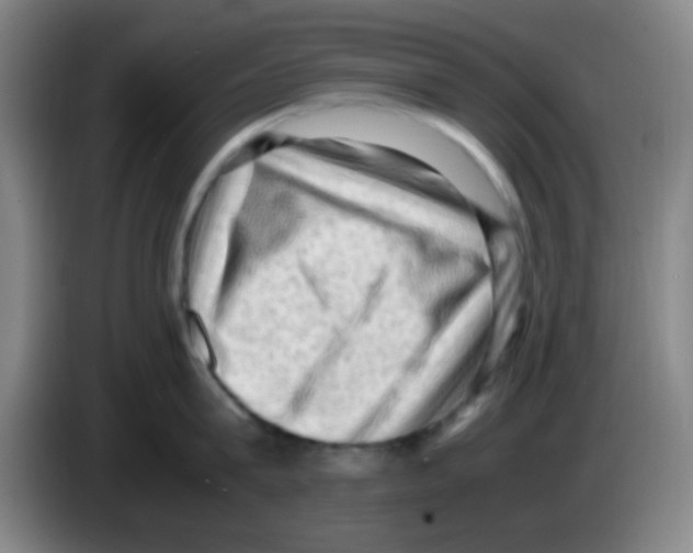 X0000083560815200703091615